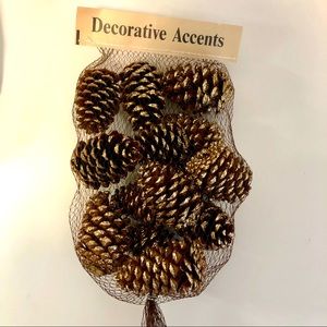 Platinum dipped gold dusted pine cones 14 count